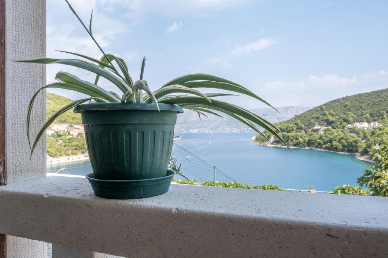 Apartments Darija Pucisca Kültér fotó